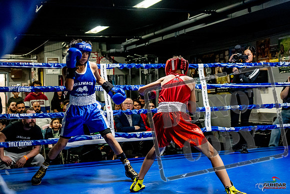 Cougar Boxing Basement Brawl -0237