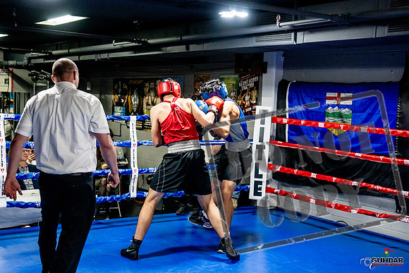 Cougar Boxing Basement Brawl -0680