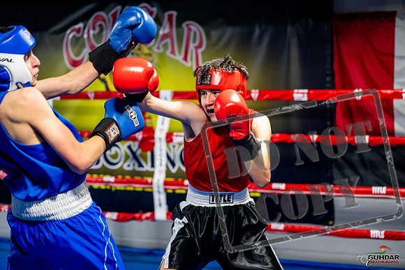 Cougar boxing June 7th 2025-0674