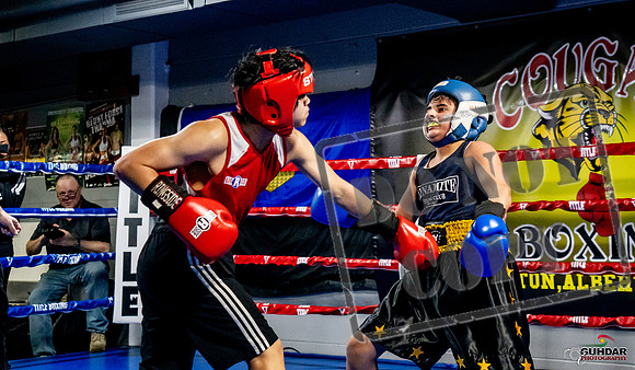 Cougar Boxing Basement Brawl -0308