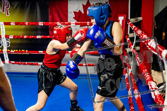 Cougar Boxing Basement Brawl -0557