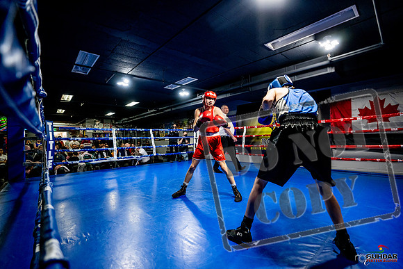 Cougar Boxing Basement Brawl -0117