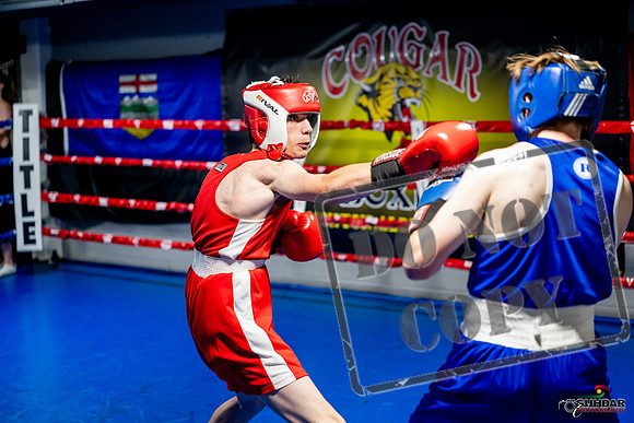 Cougar boxing June 7th 2025-0915