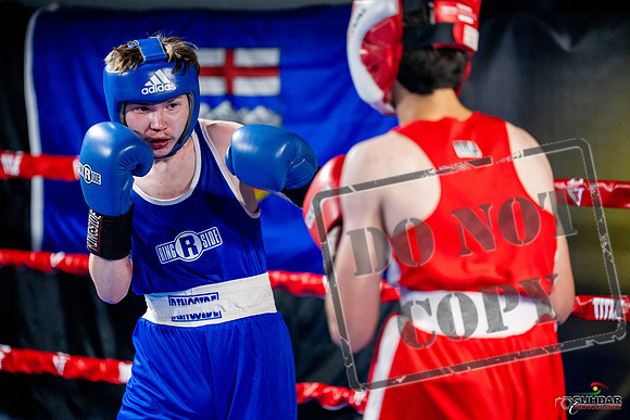 Cougar boxing June 7th 2025-0923
