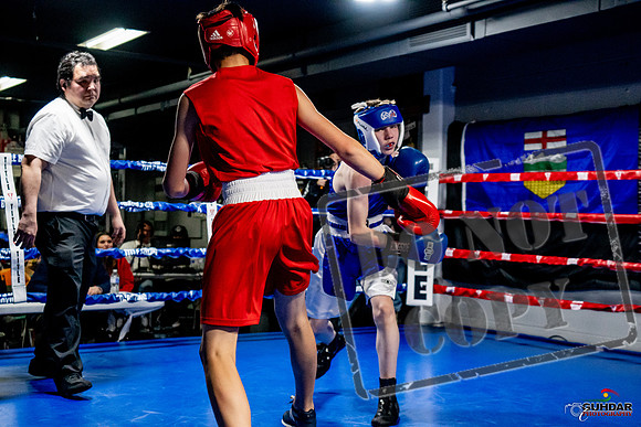 Cougar Boxing Basement Brawl -0192
