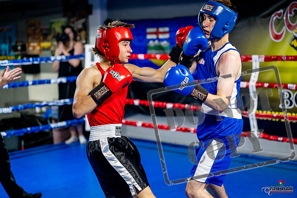 Cougar boxing June 7th 2025-0807