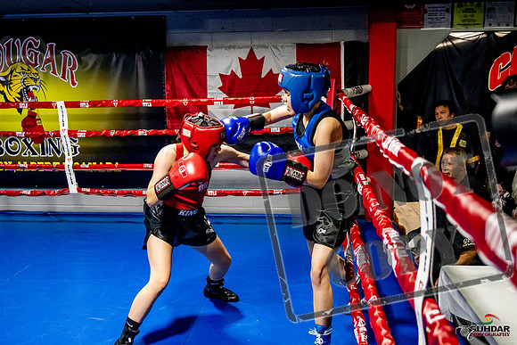 Cougar Boxing Basement Brawl -0556