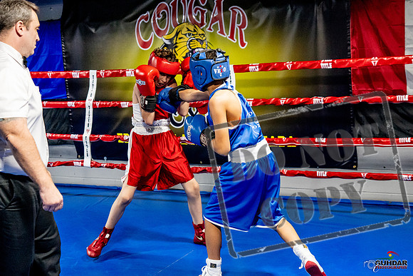 Cougar Boxing Basement Brawl -0334