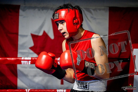 Cougar boxing June 7th 2025-0660