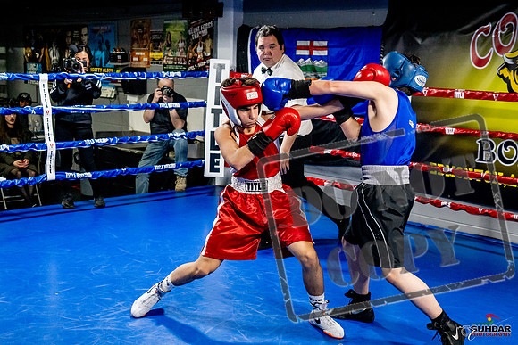 Cougar Boxing Basement Brawl -0491