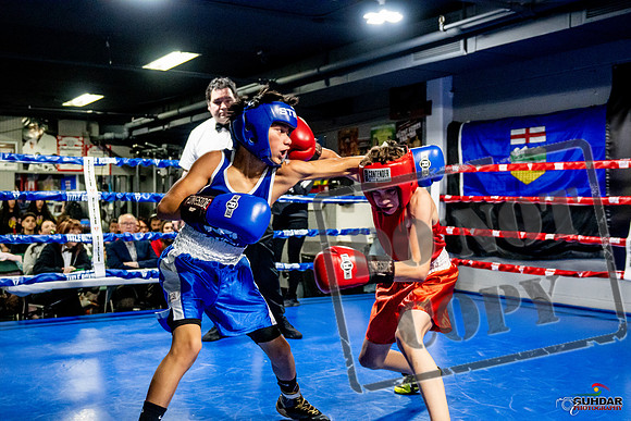 Cougar Boxing Basement Brawl -0253