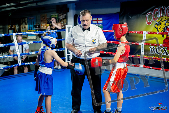 Cougar boxing June 7th 2025-0010