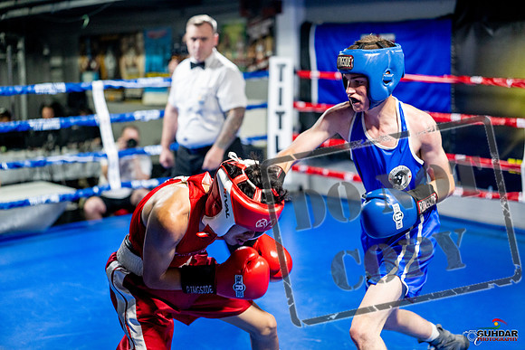 Cougar boxing June 7th 2025-0139