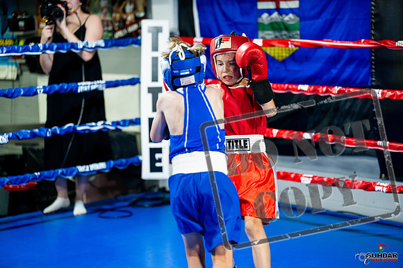 Cougar boxing June 7th 2025-0053