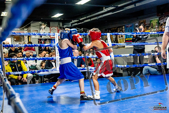 Cougar Boxing Basement Brawl -0083