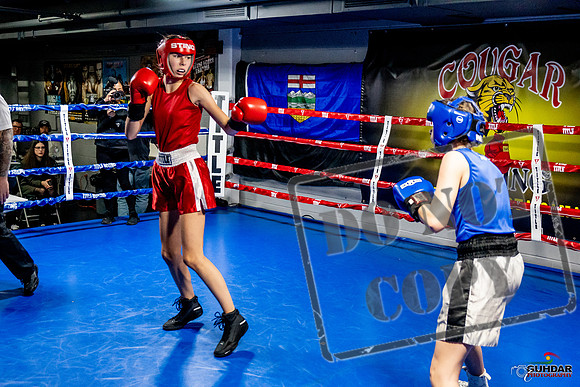 Cougar Boxing Basement Brawl -0580