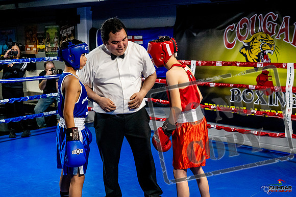Cougar Boxing Basement Brawl -0218
