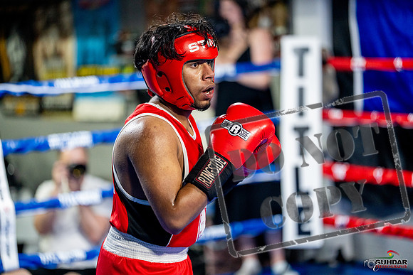 Cougar boxing June 7th 2025-0344