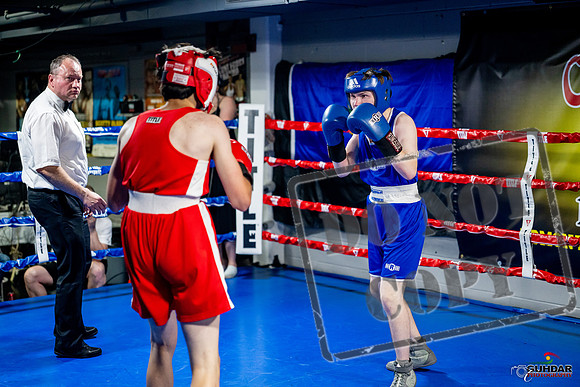 Cougar boxing June 7th 2025-0899