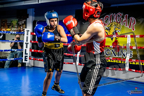 Cougar Boxing Basement Brawl -0287