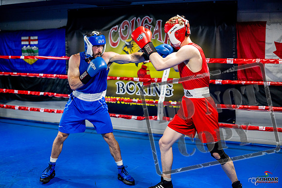 Cougar boxing June 7th 2025-0383
