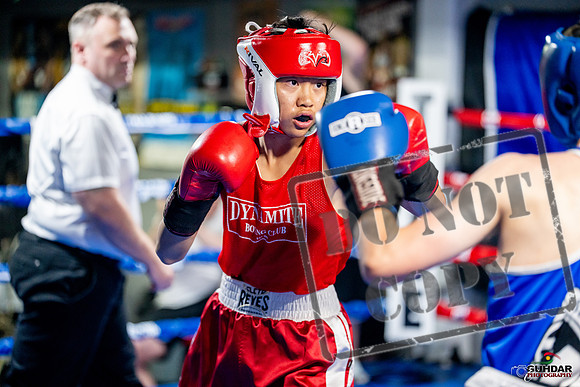 Cougar boxing June 7th 2025-0102