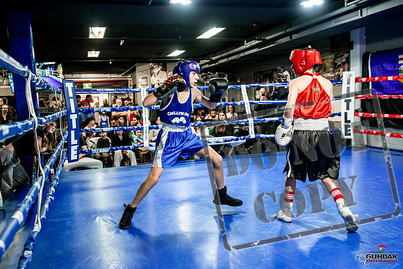 Cougar Boxing Basement Brawl -0007