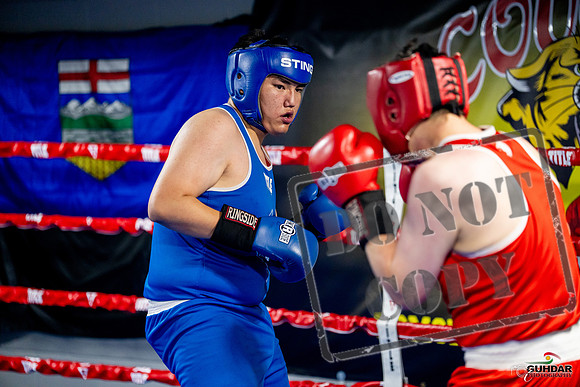 Cougar boxing June 7th 2025-0744