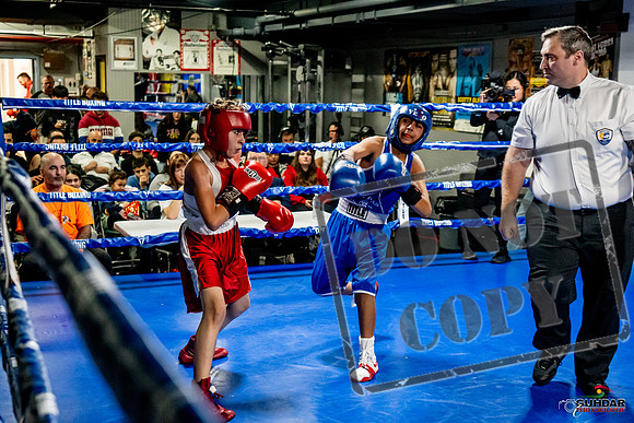 Cougar Boxing Basement Brawl -0346