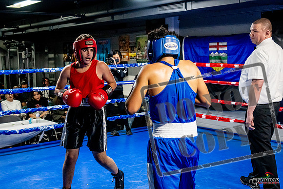 Cougar Boxing Basement Brawl -0624