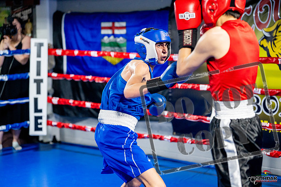 Cougar boxing June 7th 2025-0663