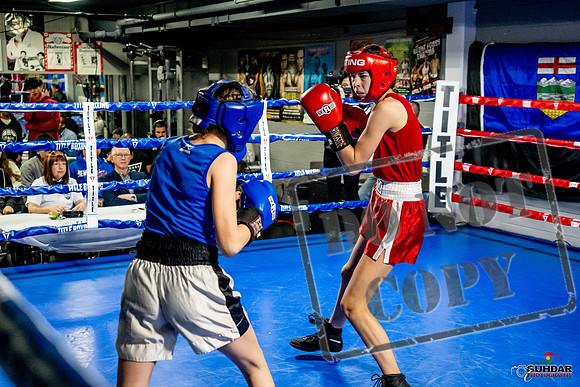 Cougar Boxing Basement Brawl -0575