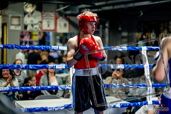 Cougar boxing June 7th 2025-0816
