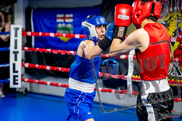 Cougar boxing June 7th 2025-0664