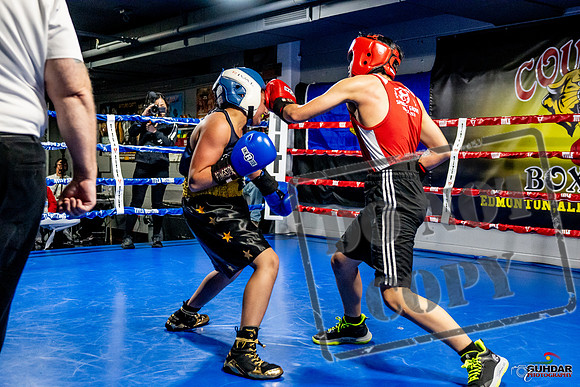 Cougar Boxing Basement Brawl -0294