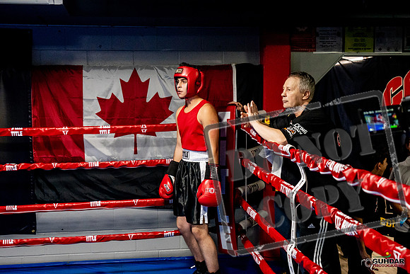 Cougar Boxing Basement Brawl -0600