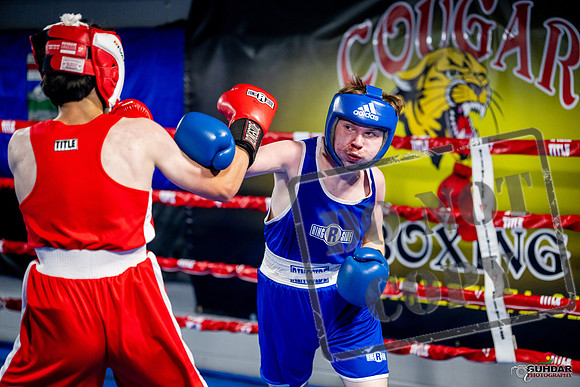 Cougar boxing June 7th 2025-0926