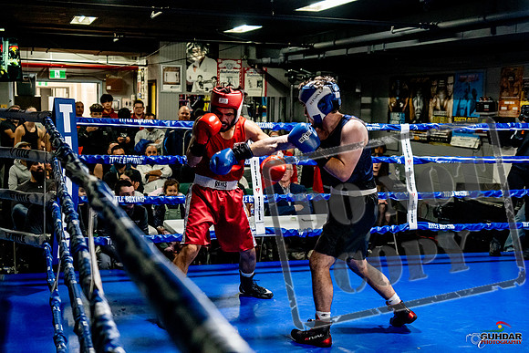 Cougar Boxing Basement Brawl -0405