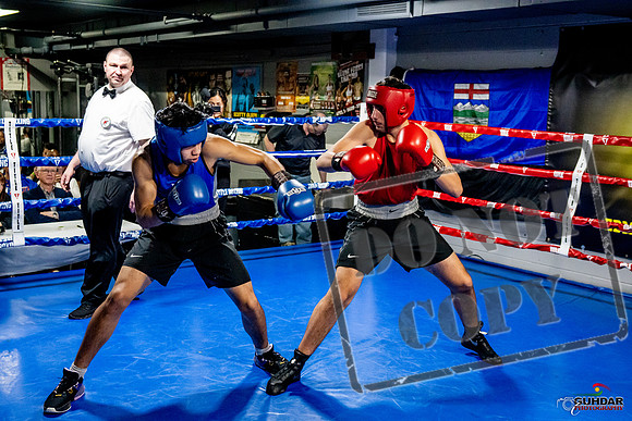 Cougar Boxing Basement Brawl -0658