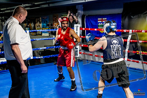 Cougar Boxing Basement Brawl -0380