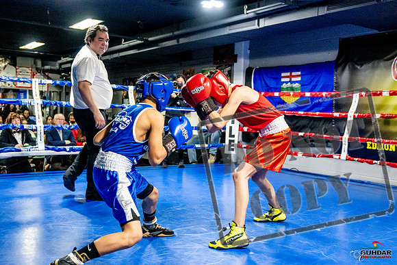Cougar Boxing Basement Brawl -0221