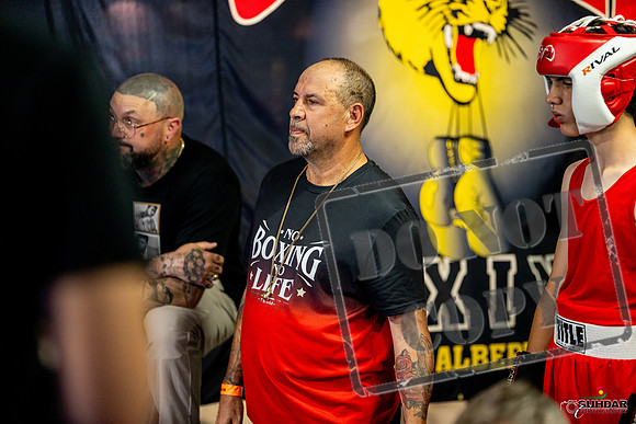 Cougar boxing June 7th 2025-0858