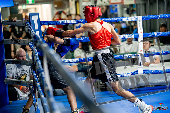 Cougar boxing June 7th 2025-0175