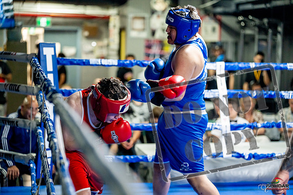 Cougar boxing June 7th 2025-0717