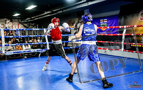 Cougar Boxing Basement Brawl -0002