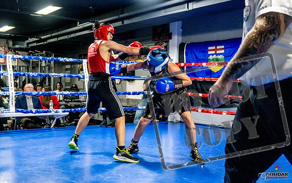 Cougar Boxing Basement Brawl -0297