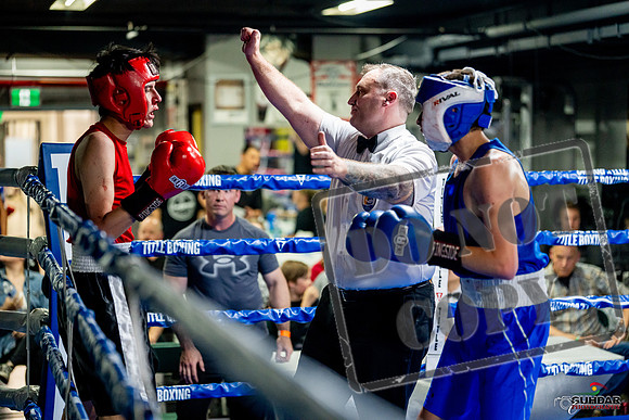 Cougar boxing June 7th 2025-0694