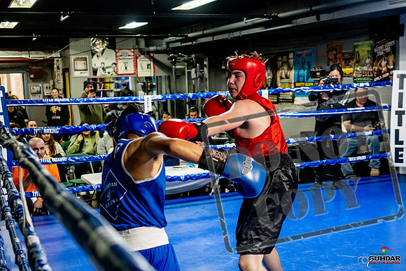 Cougar Boxing Basement Brawl -0540