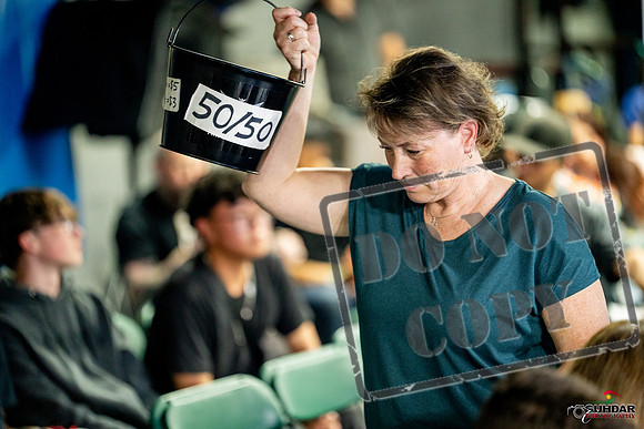 Cougar boxing June 7th 2025-0758