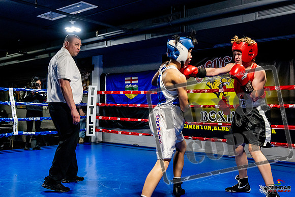 Cougar Boxing Basement Brawl -0168